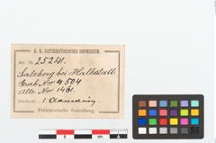 Etikett zu Bronzeperlarmreif (NHMW-PRAE-025241)
